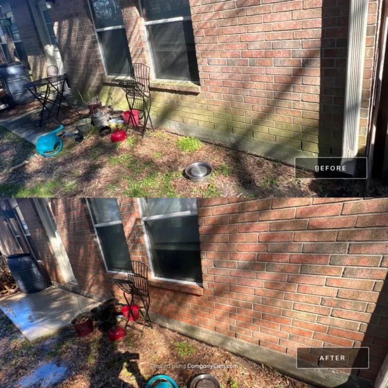 Fighting Mold and Mildew: Houston’s Hidden Enemy